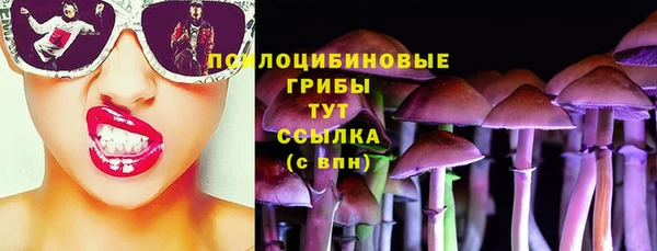 бутират Лагань