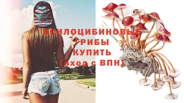 гидропоника Лабытнанги