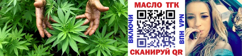 Купить где  Ковылкино  Дистиллят ТГК Wax 