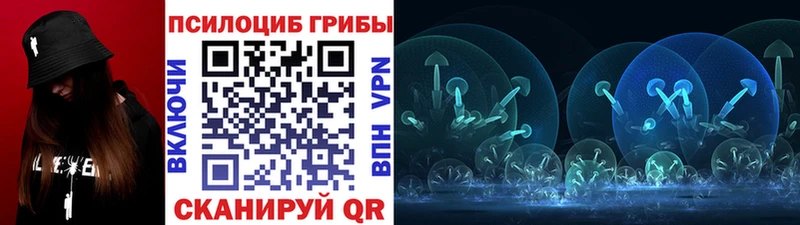 Купить  Ковылкино  Псилоцибиновые грибы Magic Shrooms 